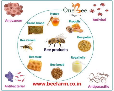 The Bee Hive (Food Source) .
